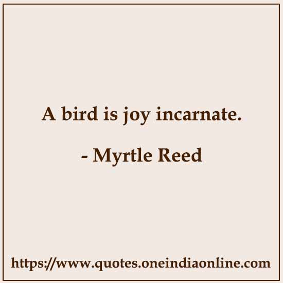 A bird is joy incarnate. 

- Myrtle Reed