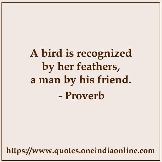 A bird is recognized by her feathers, a man by his friend. A bird is recognized by her feathers, a man by his friend.