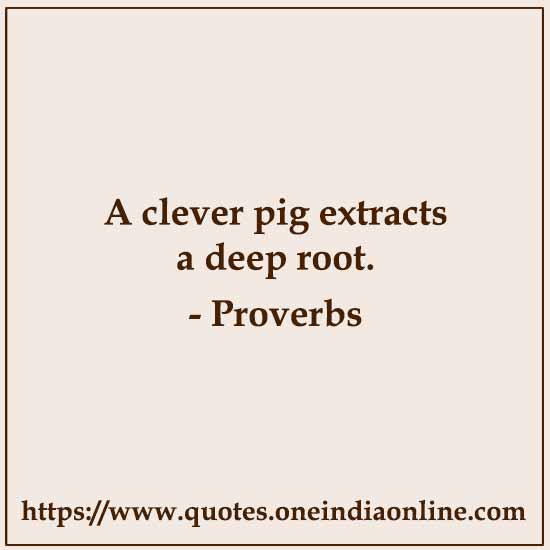 A clever pig extracts a deep root. A clever pig extracts a deep root.