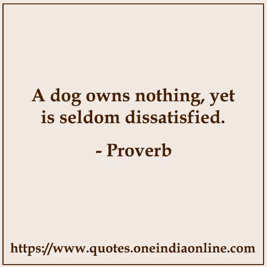 A dog owns nothing, yet is seldom dissatisfied. 

- Irish Proverb