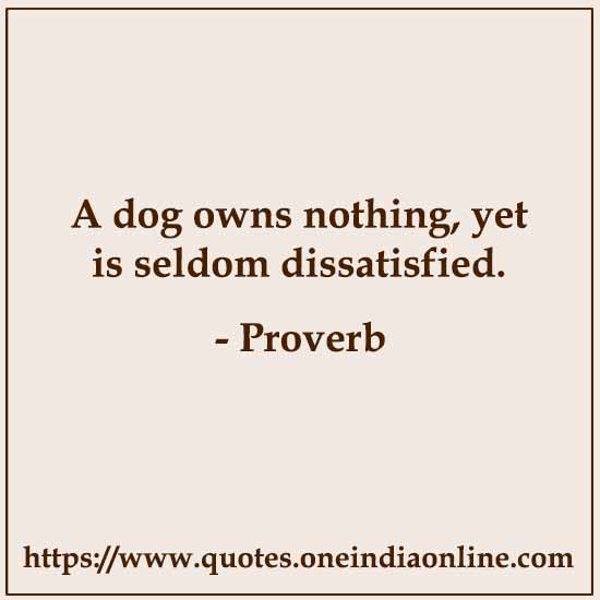 A dog owns nothing, yet is seldom dissatisfied. 

- Irish Proverb