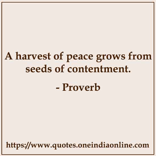 A harvest of peace grows from seeds of contentment.

