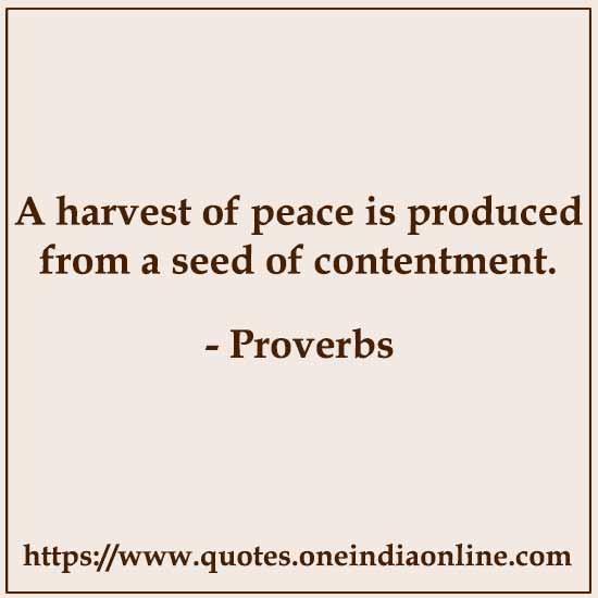 A harvest of peace is produced from a seed of contentment.
