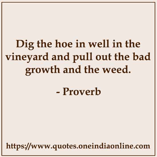 Dig the hoe in well in the vineyard and pull out the bad growth and the weed.

