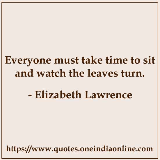 Everyone must take time to sit and watch the leaves turn.

- Elizabeth Lawrence