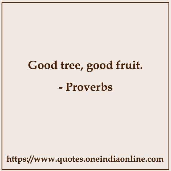 Good tree, good fruit.