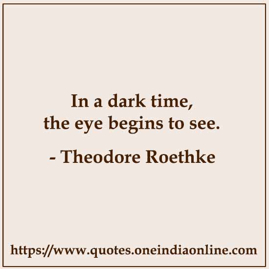 In a dark time, the eye begins to see.

- Theodore Roethke 