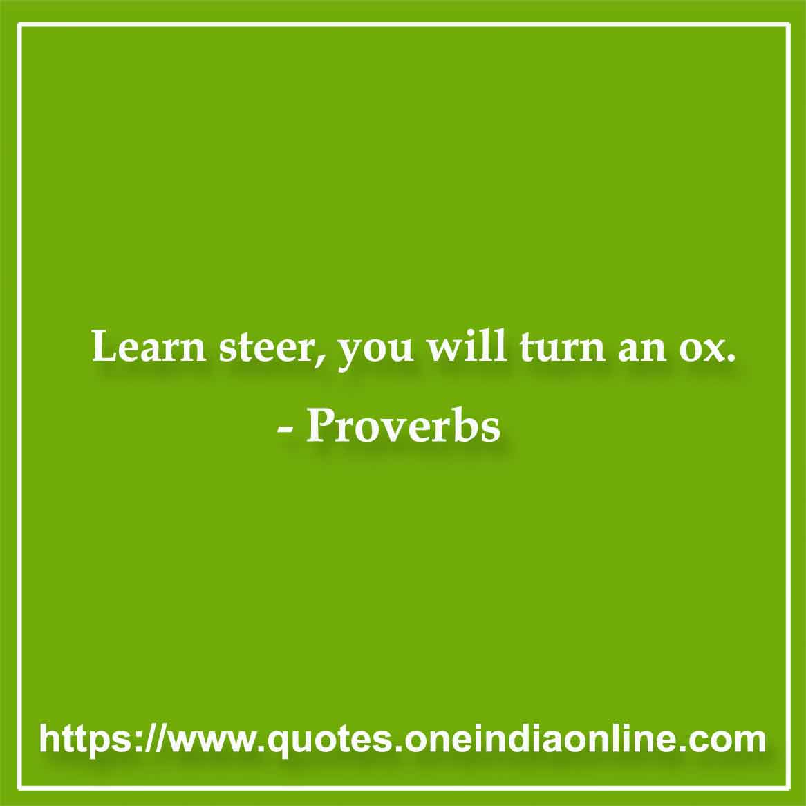 Learn steer, you will turn an ox. Learn steer, you will turn an ox.
-