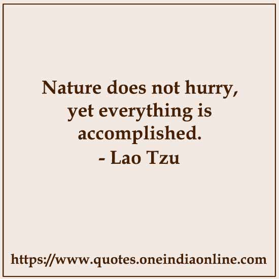 Nature does not hurry, yet everything is accomplished. 

- Lao Tzu