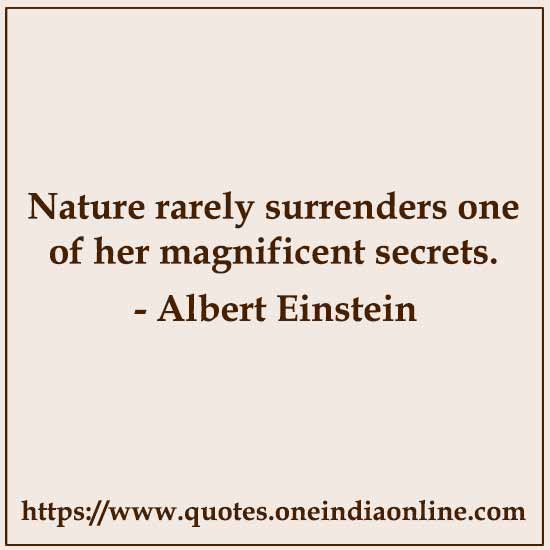 Nature rarely surrenders one of her magnificent secrets.

- Albert Einstein