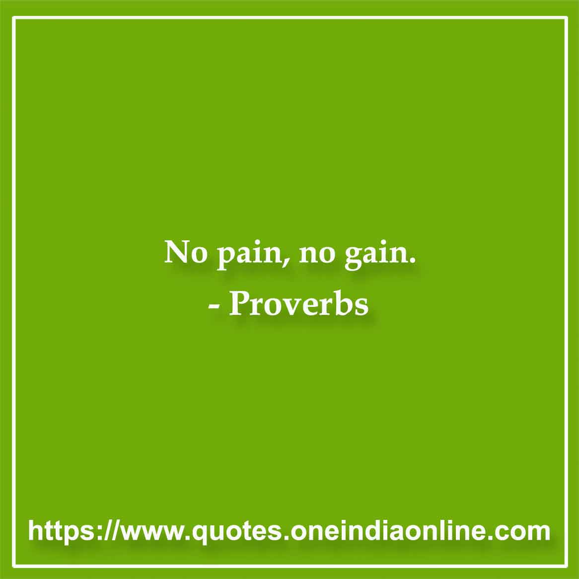 no pain no gain proverb expansion
