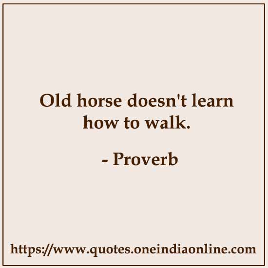 Old horse doesn't learn how to walk.

 