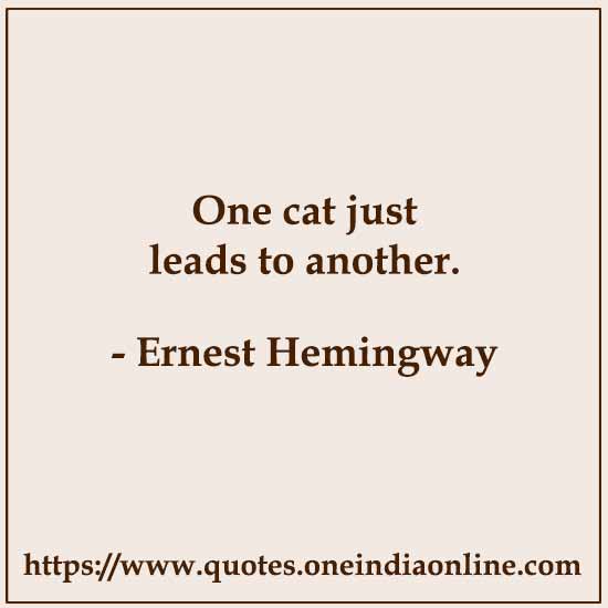 One cat just leads to another.

Ernest Hemingway