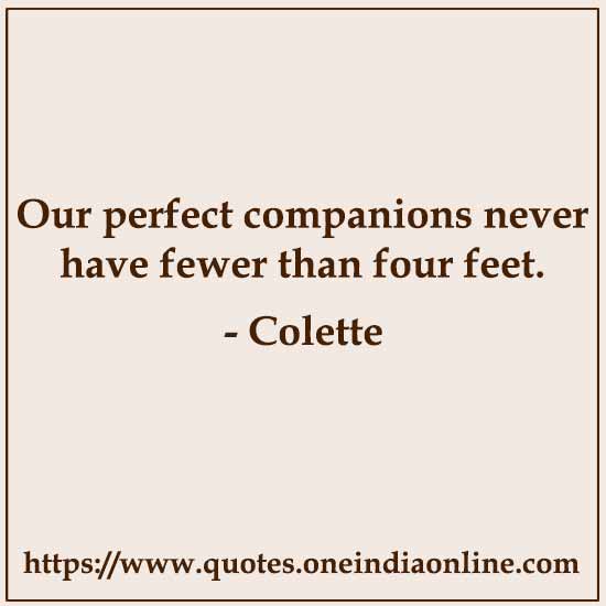 Our perfect companions never have fewer than four feet.

- Colette