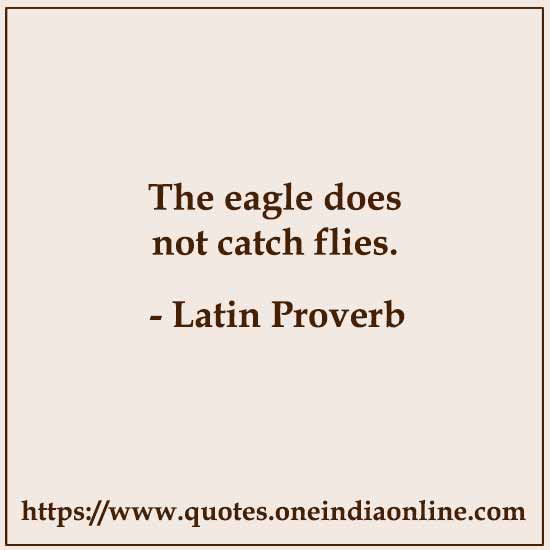 The eagle does not catch flies.