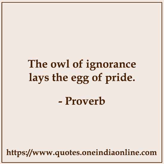 The owl of ignorance lays the egg of pride.

- Proverb