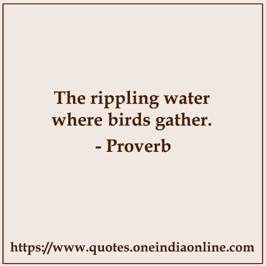 The rippling water where birds gather.