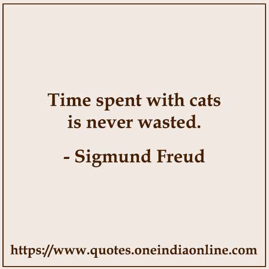 Time spent with cats is never wasted.

- Sigmund Freud