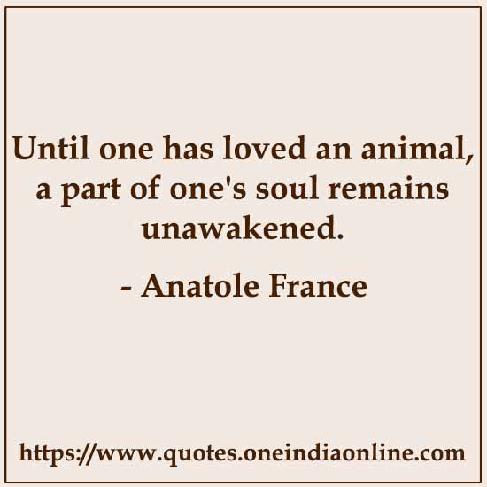 Until one has loved an animal, a part of one's soul remains unawakened. 

- Anatole France