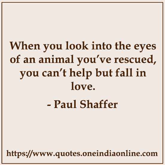 When you look into the eyes of an animal you’ve rescued, you can’t help but fall in love. 

- Paul Shaffer