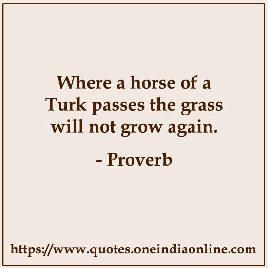 Where a horse of a Turk passes the grass will not grow again. Where a horse of a Turk passes the grass will not grow again.