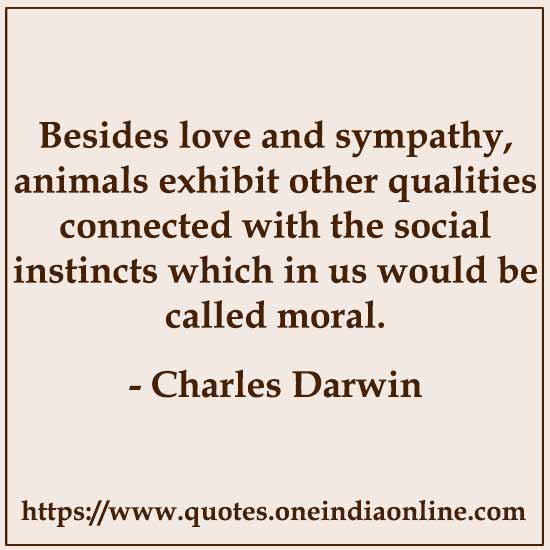 Besides love and sympathy, animals exhibit other qualities connected with the social instincts which in us would be called moral.