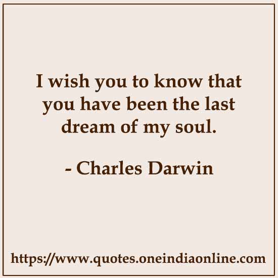 I wish you to know that you have been the last dream of my soul.