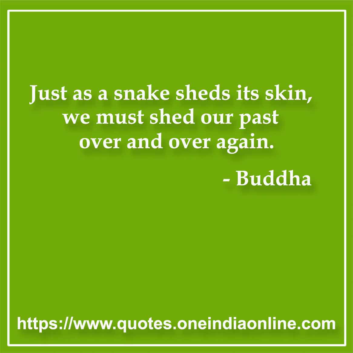 Just as a snake sheds its skin, we must shed our past over and over again.