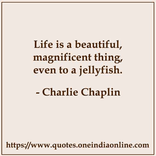 Life is a beautiful, magnificent thing, even to a jellyfish.