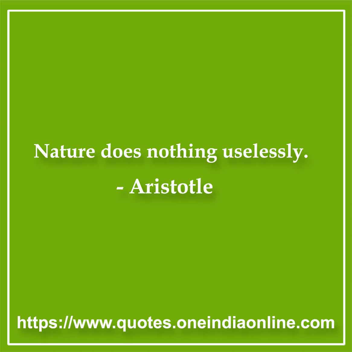 Nature does nothing uselessly.