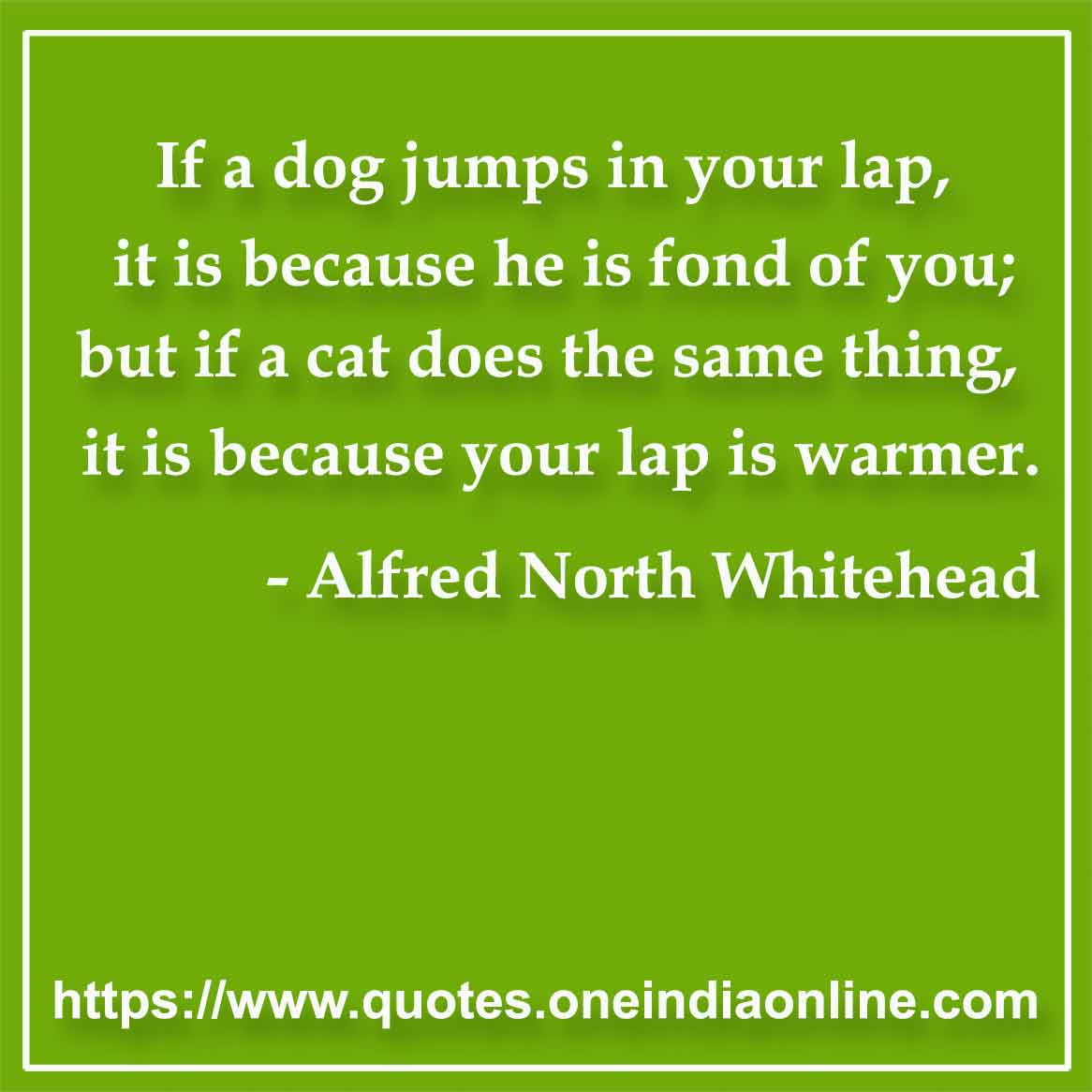 If a dog jumps in your lap, it is because he is fond of you; but if a cat does the same thing, it is because your lap is warmer.

- Pet Quotes by Alfred North Whitehead