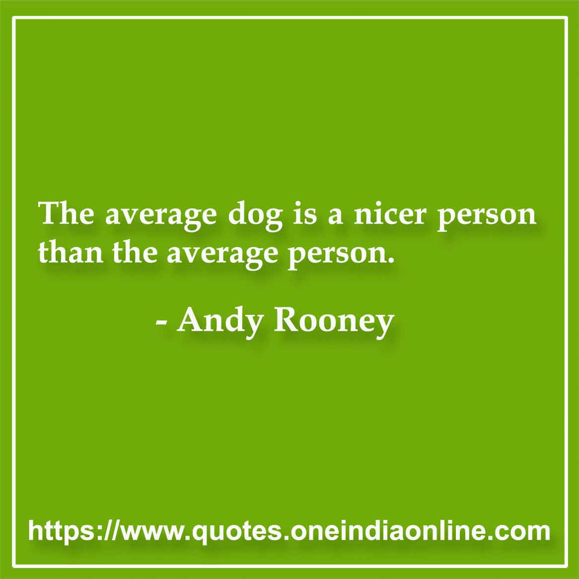 The average dog is a nicer person than the average person.

- Andy Rooney