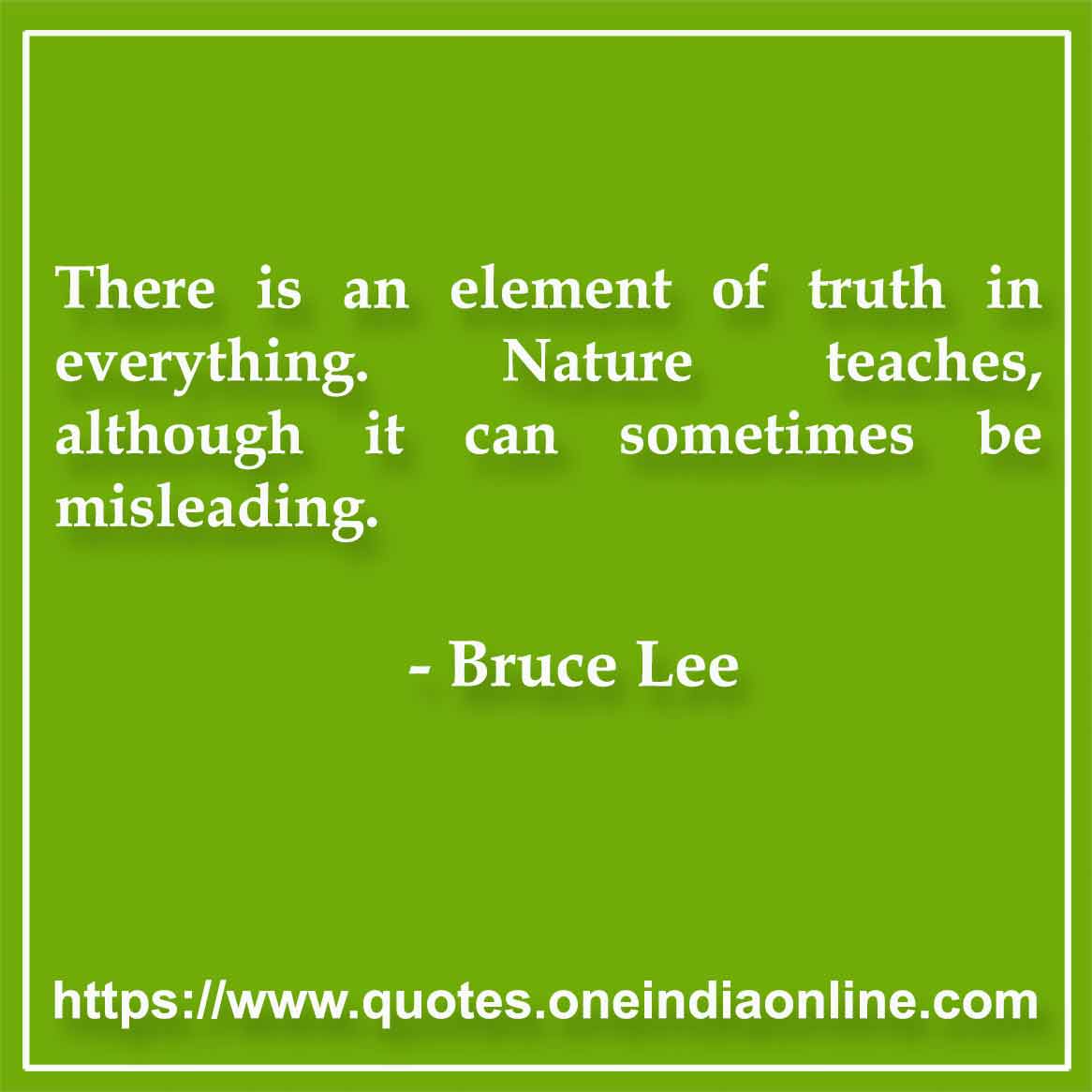 There is an element of truth in everything. Nature teaches, although it can sometimes be misleading.

-  by Bruce Lee